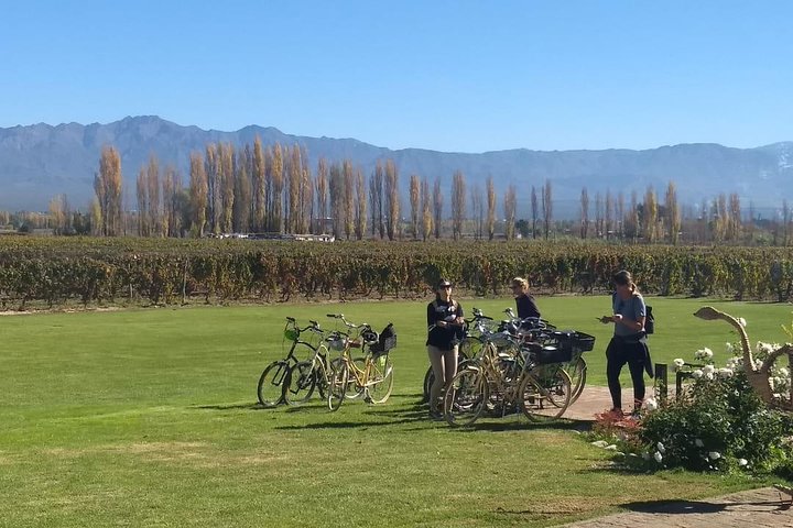 Självguidad cykeltur i Luján de Cuyo Wine Region (Mendoza)