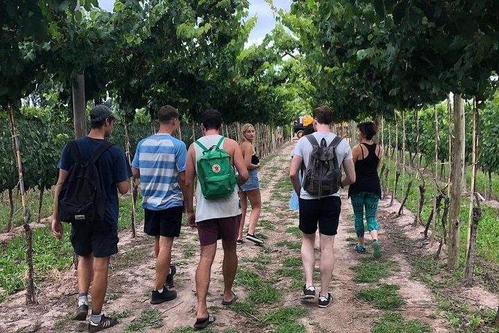 Självguidad cykeltur i Luján de Cuyo Wine Region (Mendoza)