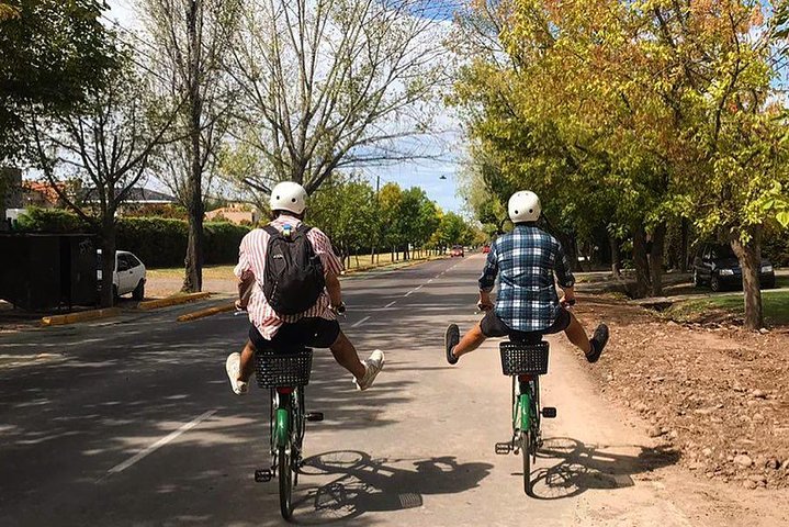 Självguidad cykeltur i Luján de Cuyo Wine Region (Mendoza)