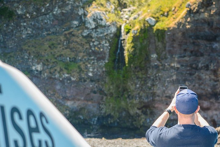 Delfines de Akaroa ~ Crucero por la naturaleza