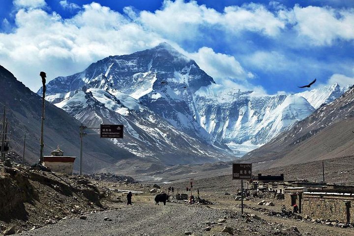 8 jours Lhasa Gyantse Shigatse Mt Everest Tour en groupe