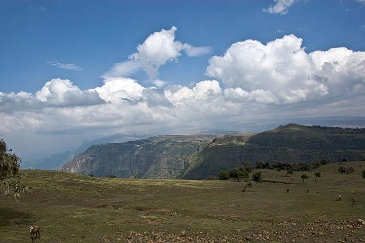 6-daagse tour pakket (Simien Mountains, Lalibela en Danakil Depression)