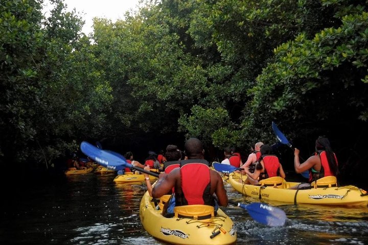 To-i-én-dagstur: El Yunque og Bio Bay-tur med transport