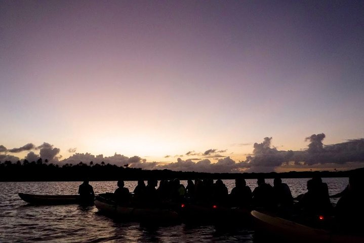 To-i-én-dagstur: El Yunque og Bio Bay-tur med transport