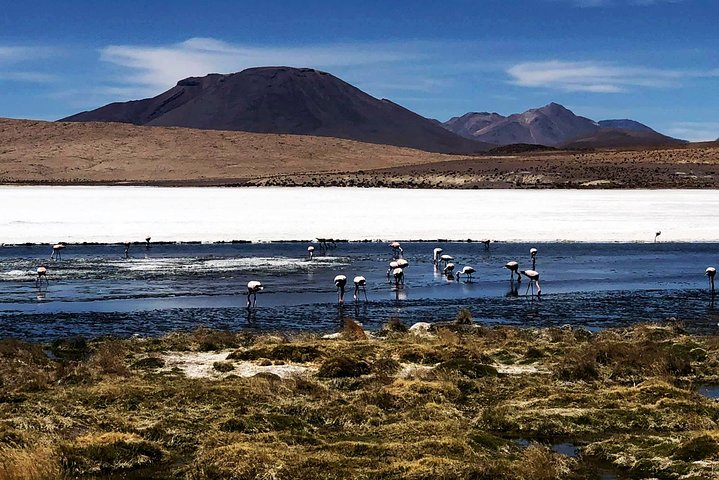 Salar De Uyuni 2days 1night. Eng Guide. Volcan Tunupa Ruta. Ask For Availability