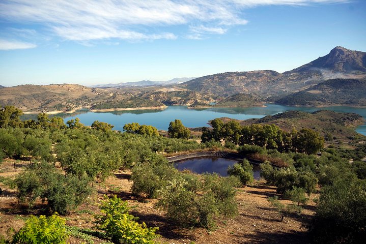Tour giornaliero dei villaggi bianchi e di Ronda da Siviglia