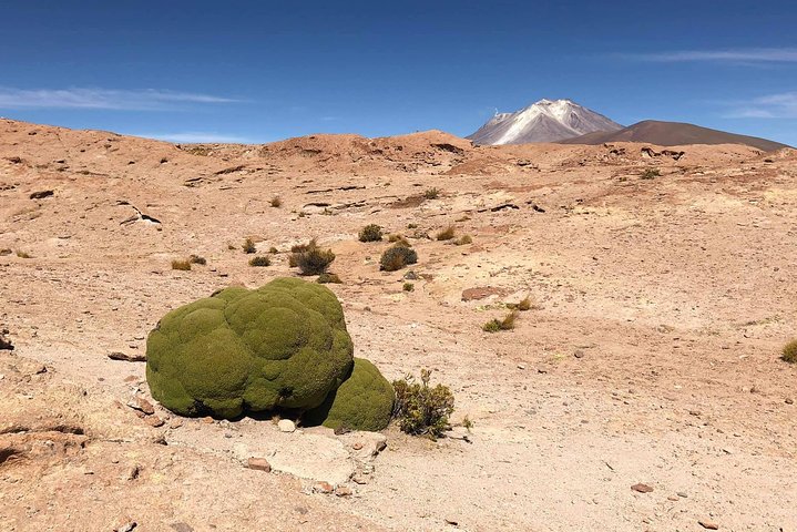 Salar De Uyuni 2days 1night. Eng Guide. Volcan Tunupa Ruta. Ask For Availability