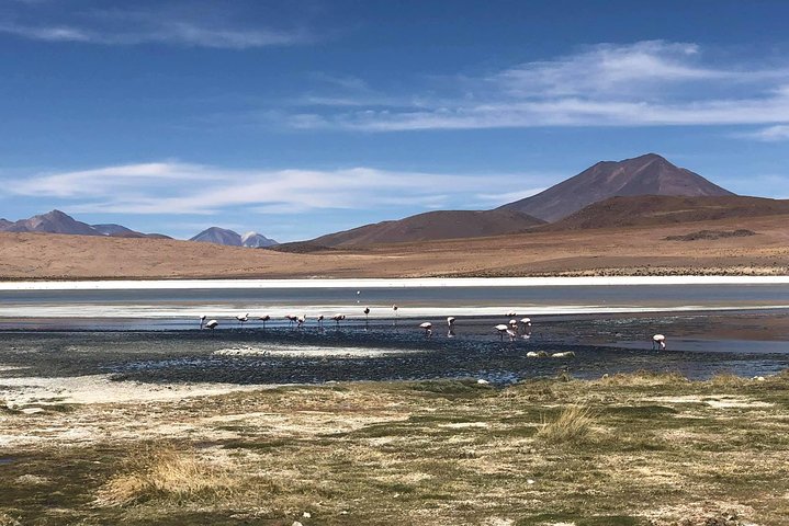 Salar De Uyuni 2days 1night. Eng Guide. Volcan Tunupa Ruta. Ask For Availability