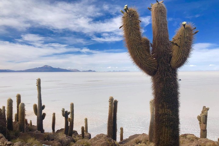 Salar De Uyuni 2days 1night. Eng Guide. Volcan Tunupa Ruta. Ask For Availability