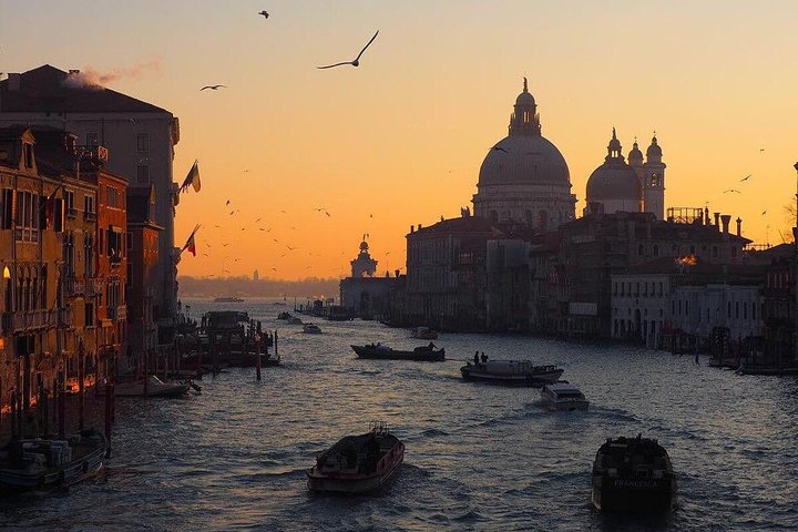 Traslado privado de llegada al aeropuerto Marco Polo de Venecia en lancha
