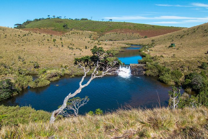 Trekking guidato Horton Plains Park e Worlds End da Nuwara Eliya