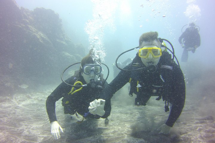 Scuba Diving Beginners Session i Costa Adeje