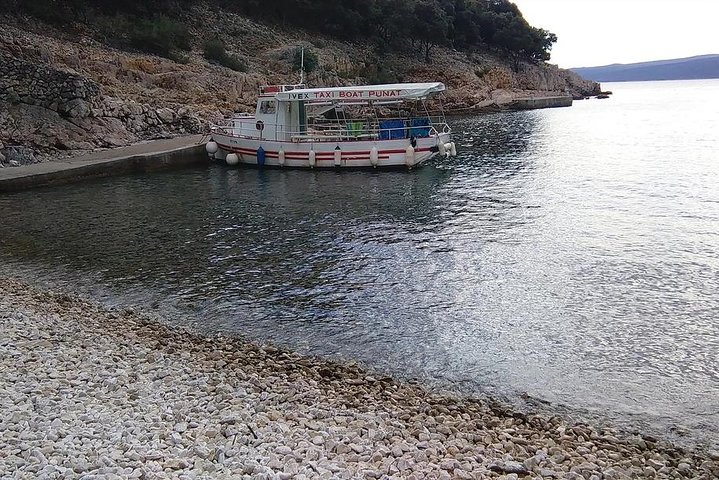 Excursion privée d'une demi-journée en bateau sur l'île Plavnik avec le capitaine. Bobo