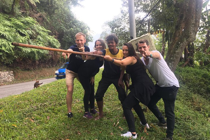 Cameron Highland beste dagstur fra Ipoh med lunsj (dagstur)