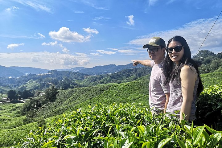 Cameron Highland beste dagstur fra Ipoh med lunsj (dagstur)