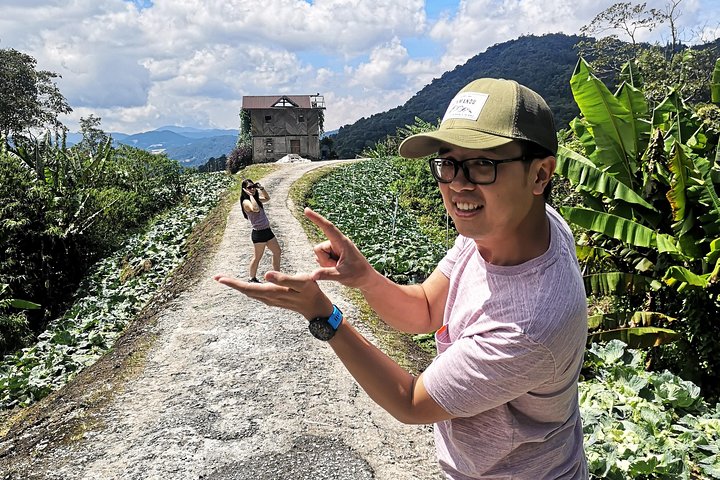 Cameron Highland beste dagstur fra Ipoh med lunsj (dagstur)