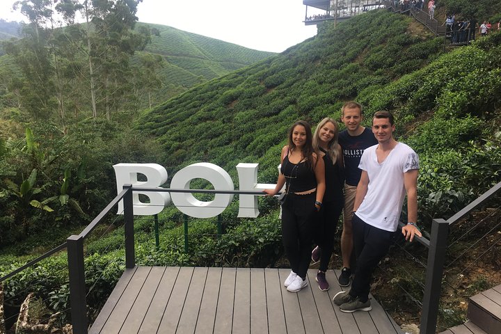Cameron Highland beste dagstur fra Ipoh med lunsj (dagstur)