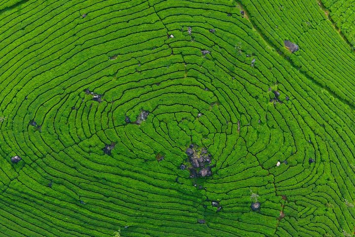 Excursion privée de 8 jours au Kerala (3 étoiles) avec Munnar, péniche et taxi - Iris Holidays