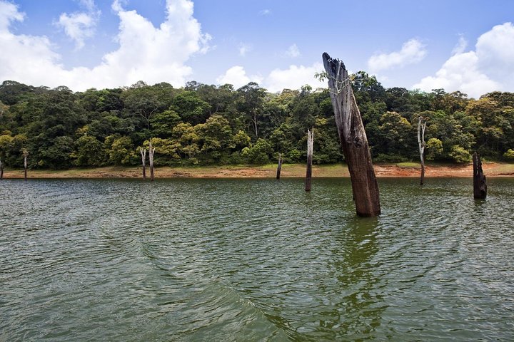 Excursion privée de 8 jours au Kerala (3 étoiles) avec Munnar, péniche et taxi - Iris Holidays