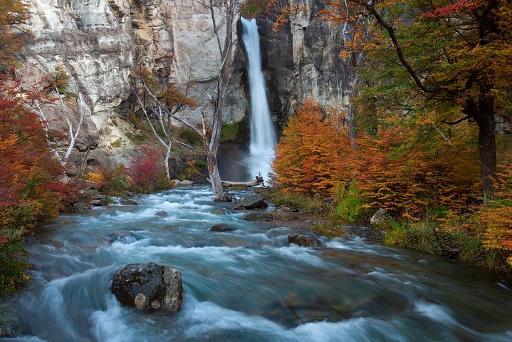 Excursão de dia inteiro com experiência completa em El Chalten saindo de El Calafate
