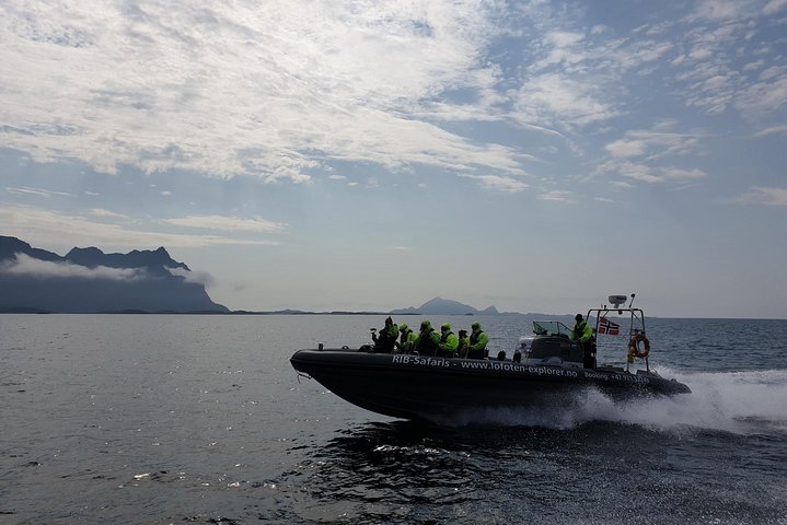Premium RIB Boot naar Trollfjord & Sea Eagles