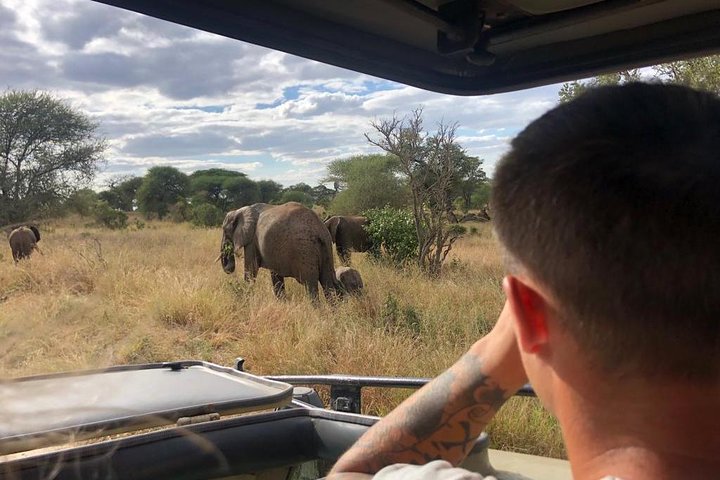 2-dagers privat luksussafari: Tarangire og Ngorongoro Tanzania