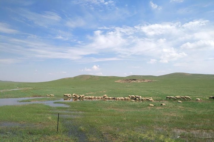 Huhhot 4D3N Mongólia Interior Pastagens e passeios pela natureza no deserto