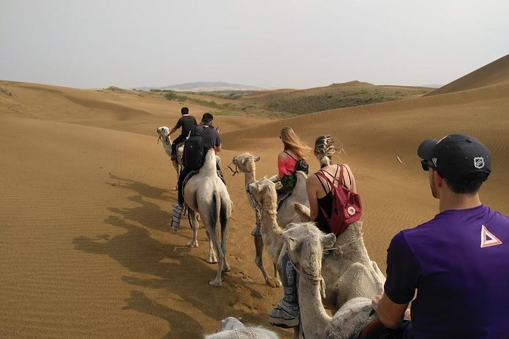 Huhhot 4D3N Mongólia Interior Pastagens e passeios pela natureza no deserto