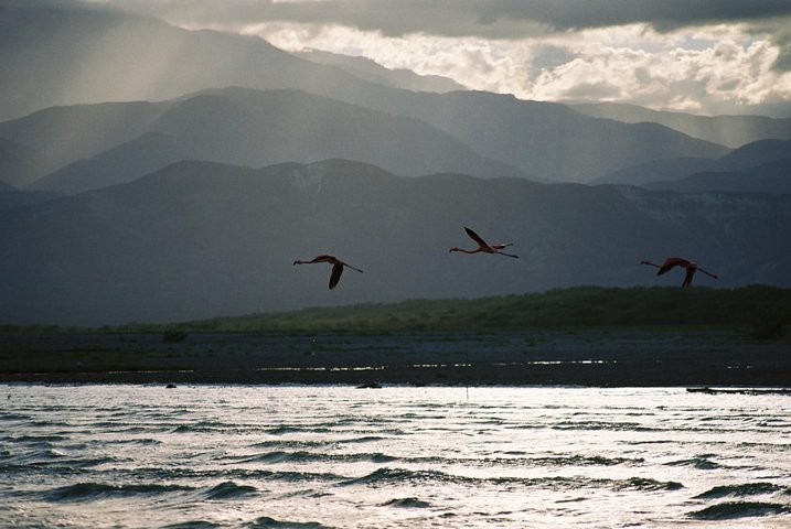 Combinazione di natura Laguna di Oviedo e Bahia de las Aguilas