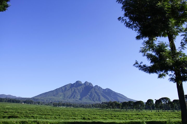 1 dag Rwanda Gorilla Trekking Tour i Volcanoes National Park
