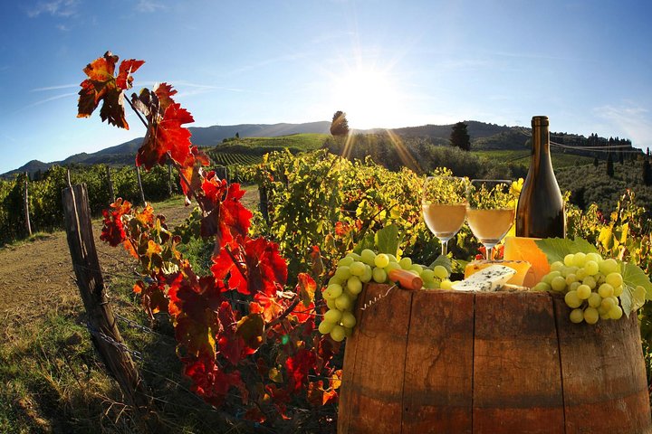 Excursão de vinho de meio dia em Chianti nas colinas da Toscana saindo de Pisa
