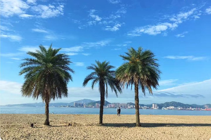 Visite privée d'une demi-journée à Xiamen de l'île Gulangyu et du jardin de Shuzhuang