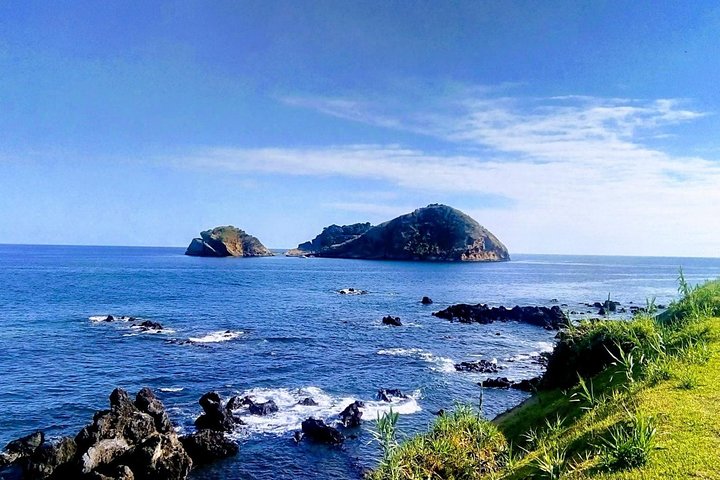 Walvissen spotten Tour + Vila Franca Islet: Hele dag met lunch