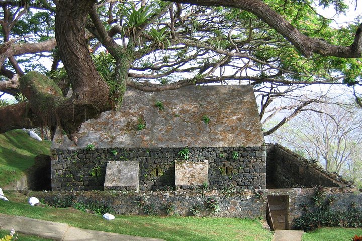 Highlights of Tobago Tour