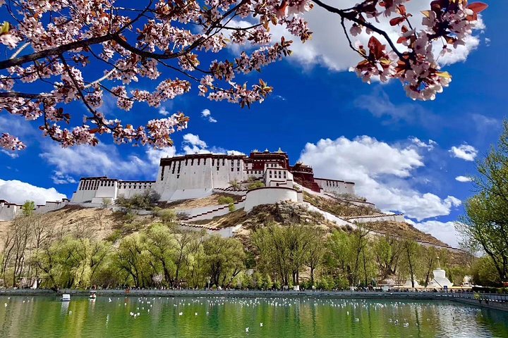 Tour di 8 giorni da Lhasa al campo base dell'Everest Tour per piccoli gruppi