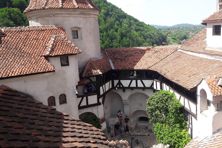 3-Schloss: Peles,Bran,Rasnov,Sinaia Kloster aus Brasov w Abholung