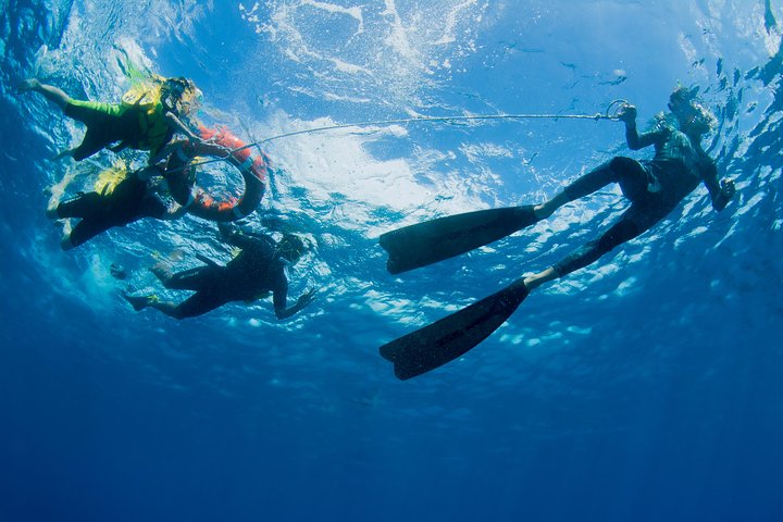 Passioni del Paradiso Grande Barriera Corallina Crociera in Catamarano