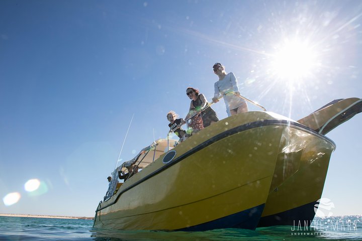 2,5 timmars Snorkel-/sköldpaddstur på Ningaloo Reef, Exmouth