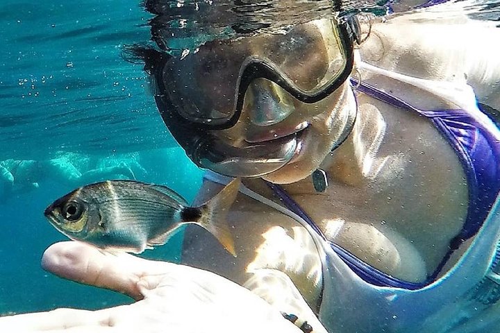 Tour in kayak e snorkeling per famiglie a San Jose Cabo de Gata