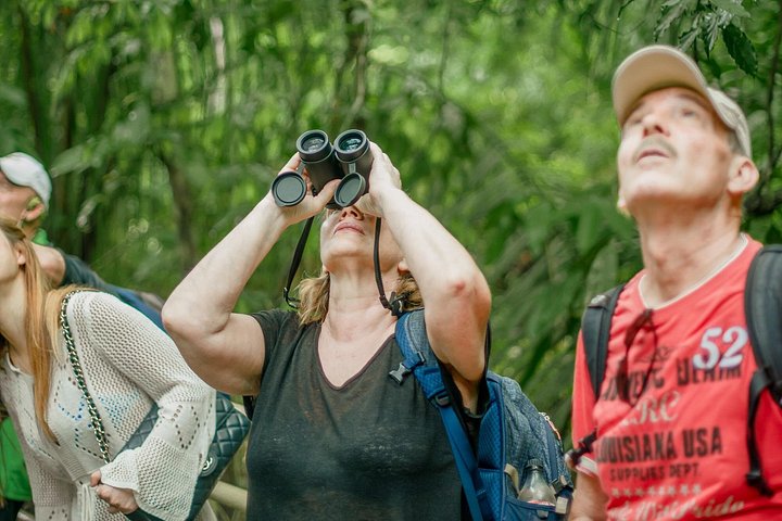 Deluxe Private Manuel Antonio Park Tour