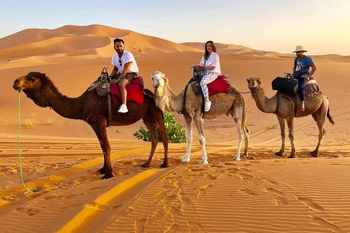 1 noche todo incluido paseo en camello y campamento en el desierto