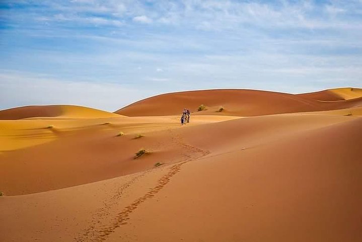 1 noche todo incluido paseo en camello y campamento en el desierto