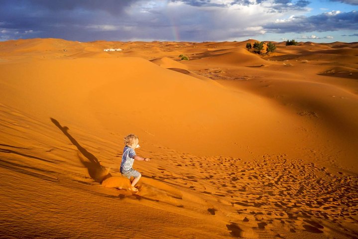 1 noche todo incluido paseo en camello y campamento en el desierto
