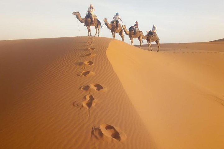 1 noche todo incluido paseo en camello y campamento en el desierto