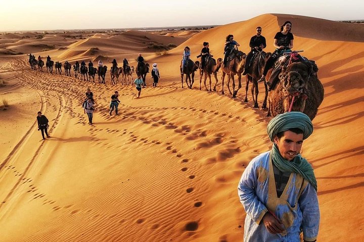 1 noche todo incluido paseo en camello y campamento en el desierto