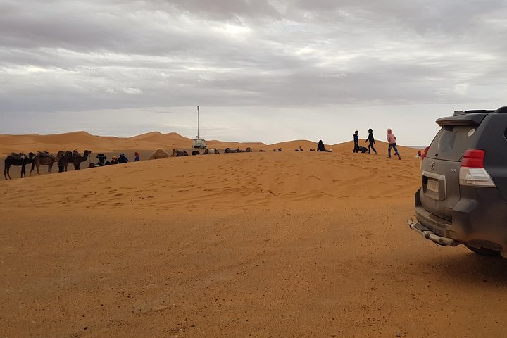 1 noche todo incluido paseo en camello y campamento en el desierto