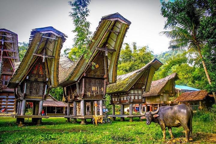 3 dias Tana Toraja de Makassar: Aldeia de Kete Kesu, Menir ao enterro fúnebre