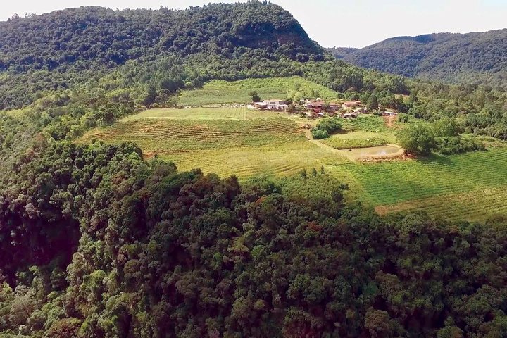 Jolimont Winery Tour - Besichtigung und Verkostung - Canela RS