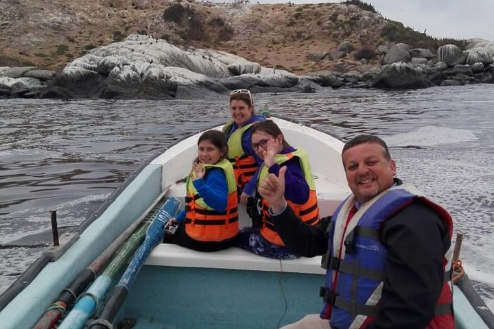 Passeio de barco privado para ver pingüins de Valparaíso Cachagua Island
