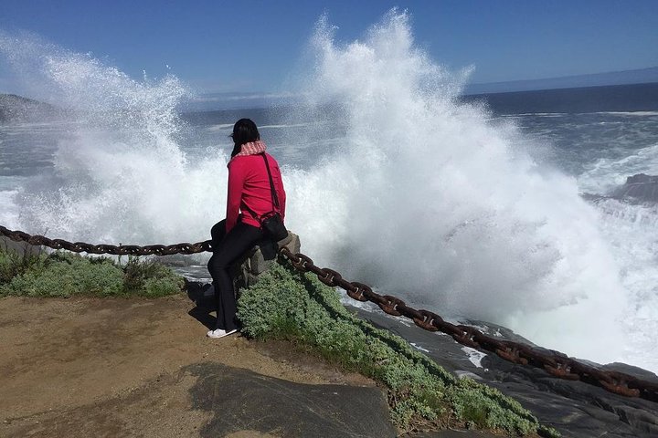 Passeio de barco privado para ver pingüins de Valparaíso Cachagua Island